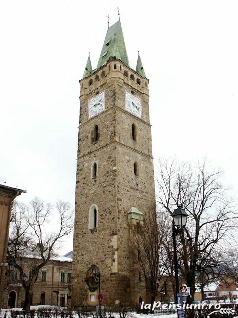 Pensiunea Iona - cazare Tara Maramuresului (Activitati si imprejurimi) Pensiunea Iona - cazare Tara Maramuresului (Activitati si imprejurimi)