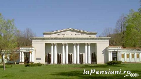 Pensiunea Iona - cazare Tara Maramuresului (Activitati si imprejurimi) Pensiunea Iona - cazare Tara Maramuresului (Activitati si imprejurimi)