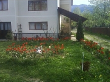 Pensiunea Sorina - accommodation in  Maramures Country (05)