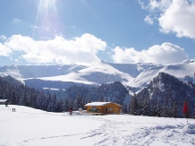 Pensiunea Sorina - alloggio in  Tara Maramuresului (11)