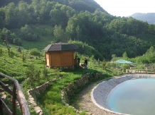 Cabana Izvorul Bucuriei - accommodation in  Brasov Depression, Buzau Valley (13)