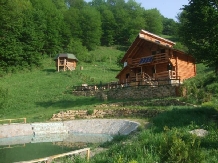 Cabana Izvorul Bucuriei - accommodation in  Brasov Depression, Buzau Valley (16)
