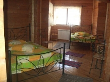 Cabana Izvorul Bucuriei - accommodation in  Brasov Depression, Buzau Valley (23)