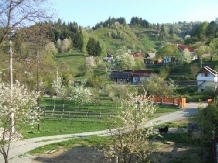 Vila Capsunica - cazare Tara Maramuresului (07)