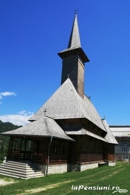 Vila Capsunica - accommodation in  Maramures Country (Surrounding)