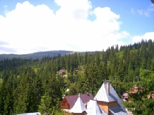 Pensiunea Nicoleta - accommodation in  Apuseni Mountains, Belis (05)