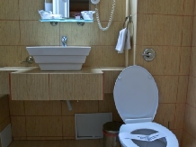 Pensiunea Nicoleta - accommodation in  Apuseni Mountains, Belis (12)