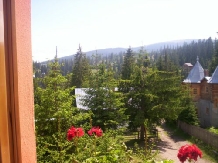 Pensiunea Nicoleta - accommodation in  Apuseni Mountains, Belis (16)