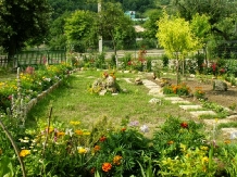 Pensiunea Vita de Vie - accommodation in  Buzau Valley (07)