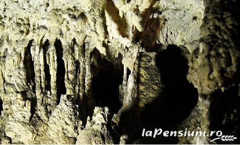 Pensiunea Casa cu Mesteceni - cazare Nordul Olteniei (Activitati si imprejurimi) Pensiunea Casa cu Mesteceni - cazare Nordul Olteniei (Activitati si imprejurimi)