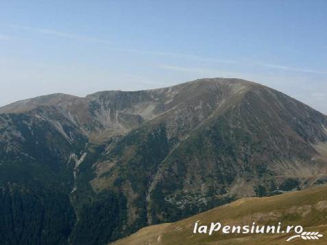 Pensiunea Casa cu Mesteceni - accommodation in  North Oltenia (Surrounding)