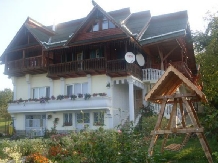 Pensiunea Amethyst - accommodation in  Maramures Country (01)