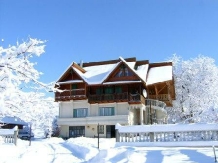 Pensiunea Amethyst - accommodation in  Maramures Country (05)
