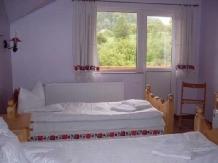 Pensiunea Amethyst - accommodation in  Maramures Country (06)