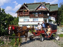 Pensiunea Amethyst - accommodation in  Maramures Country (09)