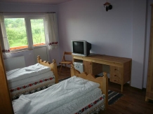 Pensiunea Amethyst - accommodation in  Maramures Country (12)