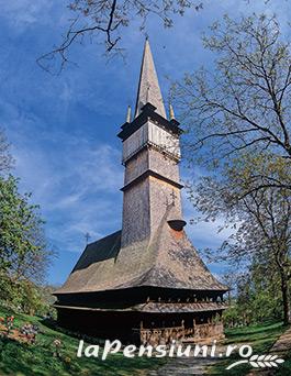 Pensiunea Amethyst - accommodation in  Maramures Country (Surrounding)