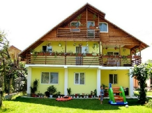 Pensiunea Ioana - accommodation in  Olt Valley (01)