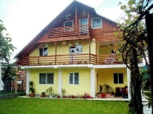 Pensiunea Ioana - accommodation in  Olt Valley (16)