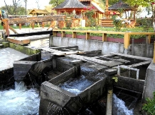 Pensiunea La Moara la Niculai - accommodation in  Maramures Country (04)