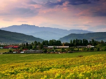 Pensiunea Andra - cazare Valea Oltului (13)