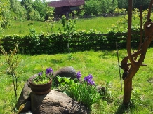Cabana Victor - accommodation in  Maramures Country (04)