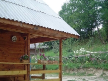 Cabana Victor - accommodation in  Maramures Country (21)