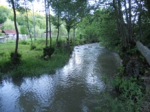 Cabana Victor - alloggio in  Tara Maramuresului (27)