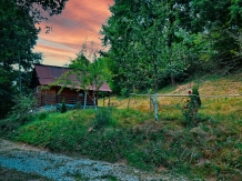 Cabana Victor - cazare Tara Maramuresului (38)