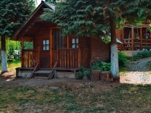 Cabana Victor - cazare Tara Maramuresului (39)