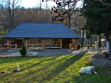 Cabana Victor - cazare Tara Maramuresului (41)