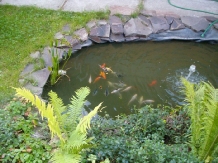 Pensiunea Sziklakert - alloggio in  Harghita Covasna, Sovata - Praid (07)