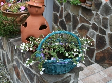 Pensiunea Sziklakert - alloggio in  Harghita Covasna, Sovata - Praid (11)