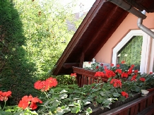 Pensiunea Sziklakert - alloggio in  Harghita Covasna, Sovata - Praid (23)