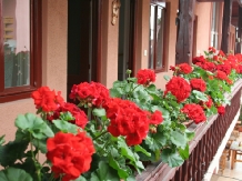 Pensiunea Sziklakert - alloggio in  Harghita Covasna, Sovata - Praid (30)