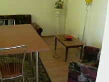 Pensiunea Areta - accommodation in  North Oltenia (10)