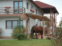 Pensiunea Horizont - accommodation in  Harghita Covasna, Odorhei (12)