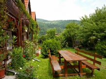 Pensiunea Zenit - accommodation in  Harghita Covasna, Tusnad (22)