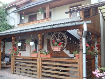 Pensiunea Ilea - accommodation in  Maramures Country (01)