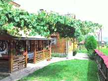 Pensiunea Ilea - accommodation in  Maramures Country (08)