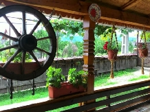 Pensiunea Ilea - accommodation in  Maramures Country (14)