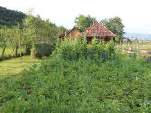 Pensiunea Ilea - accommodation in  Maramures Country (32)