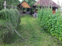 Pensiunea Ilea - accommodation in  Maramures Country (33)