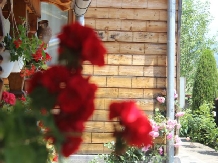 Pensiunea Ilea - accommodation in  Maramures Country (36)