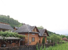 Pensiunea Ilea - accommodation in  Maramures Country (37)