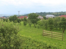 Pensiunea Ilea - accommodation in  Maramures Country (40)