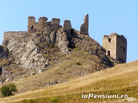 Pensiunea Bella Vista - accommodation in  Sighisoara (Surrounding)