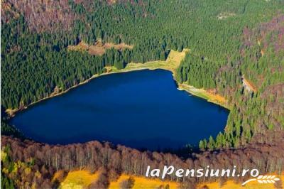 Pensiunea Bella Vista - accommodation in  Sighisoara (Surrounding)