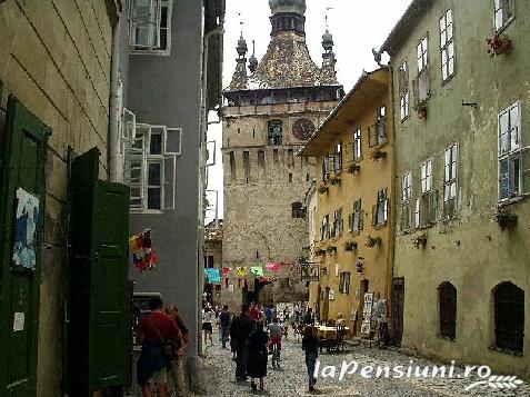 Casa Julia - cazare Sovata - Praid (Activitati si imprejurimi)