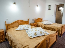 Pensiunea Bogdaneasa - cazare Gura Humorului, Voronet, Bucovina (44)